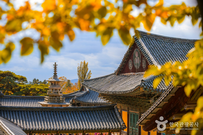 Gyeongju — Bulguksa Temple, Seokguram Grotto & Daereungwon tombs