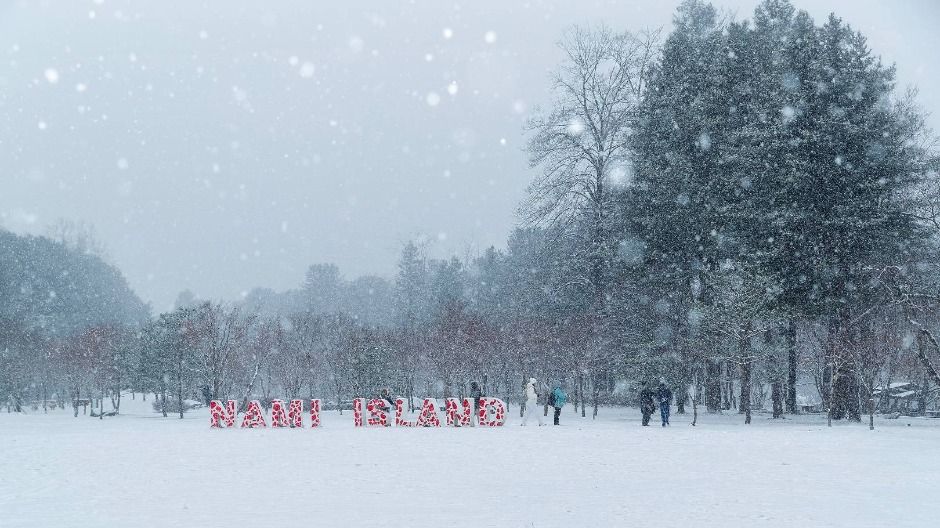 Nami Island & Gapyeong — Nami Island, Petite France & the Garden of Morning Calm